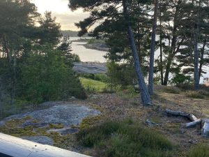 nr10 Havblikk utsikt